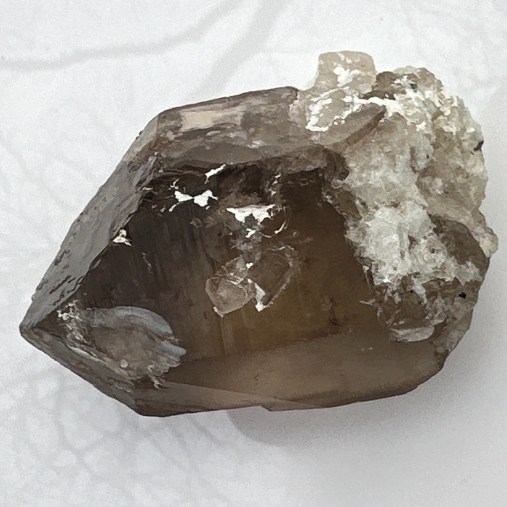 559.90 Carats Smoky Quartz Crystal - Picture 12 of 17